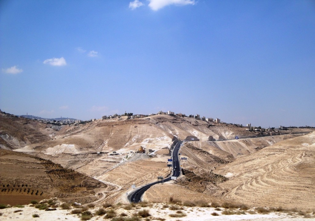 rsz_palestine 4